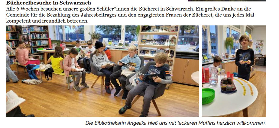 VS Bericht