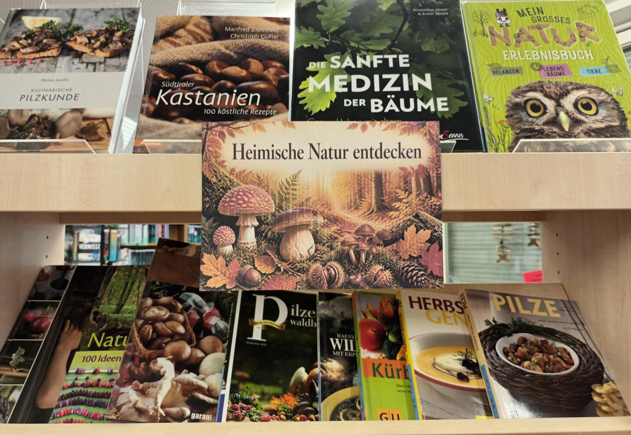 Präsentationsregal September