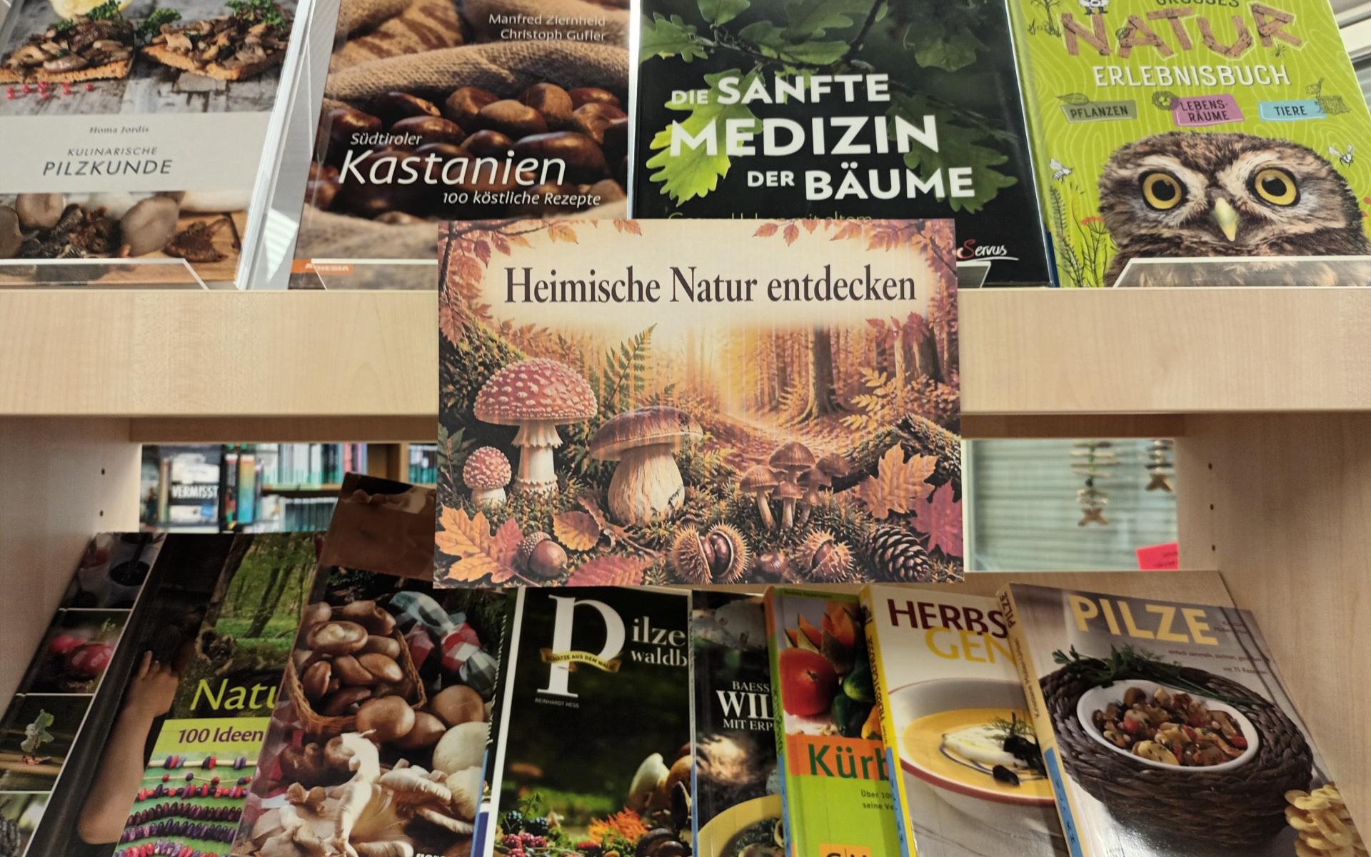 Präsentationsregal September